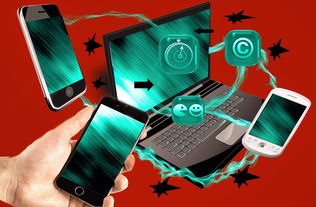 乐鱼体育在线入口-裁判团队数字考核系统试运行，裁判员管理平台